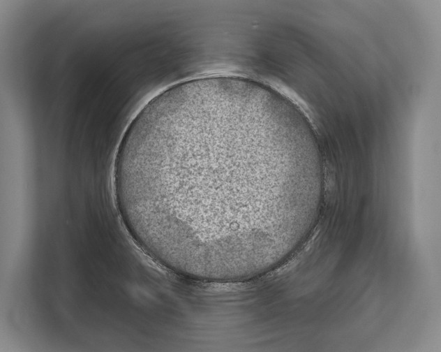 X0000112181423200909181424