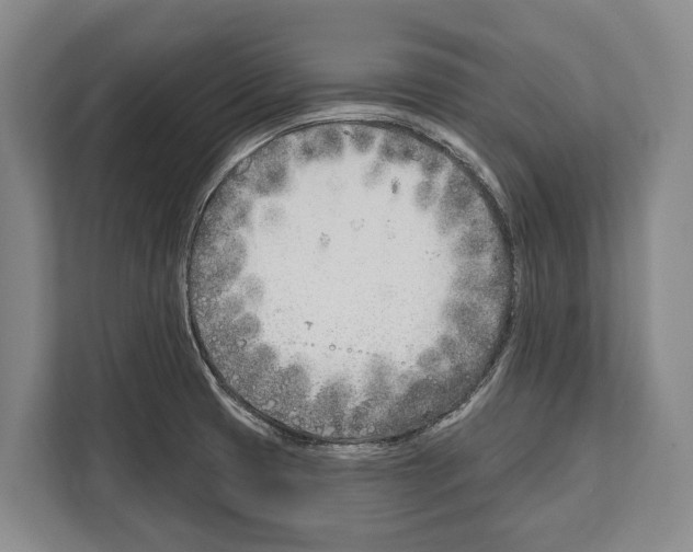 X0000112181425200909181424