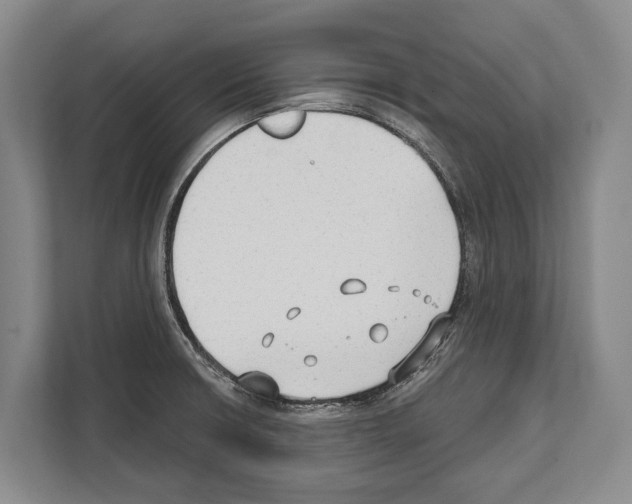 X0000112181426200909181424