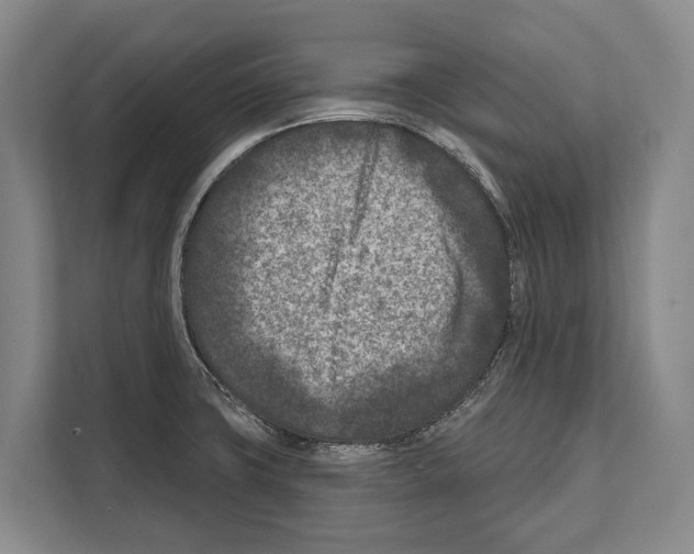 X0000112181427200909181424