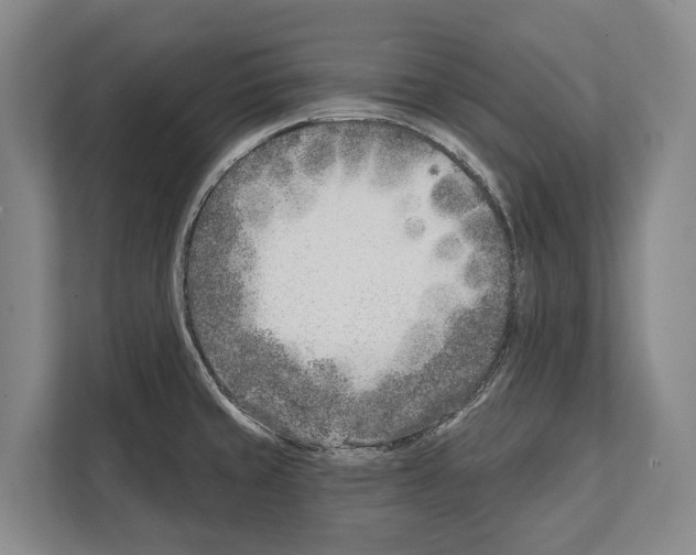 X0000112181429200909181424
