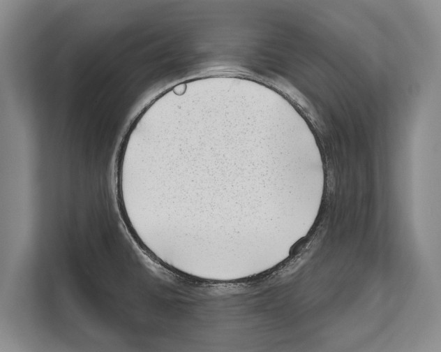 X0000112181430200909181424