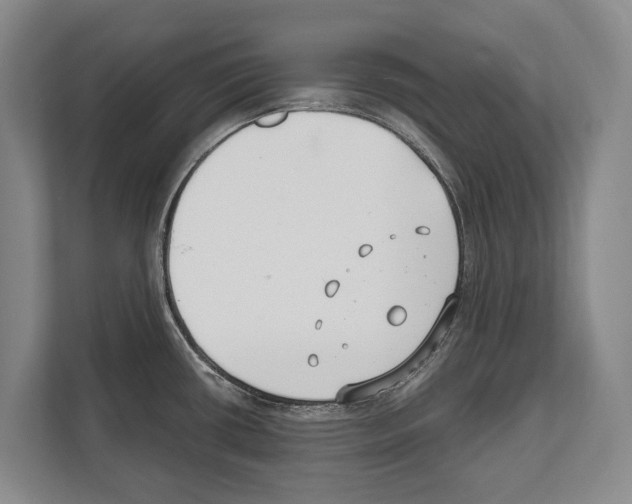 X0000112181434200909181424
