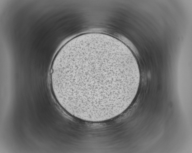 X0000112181436200909181424