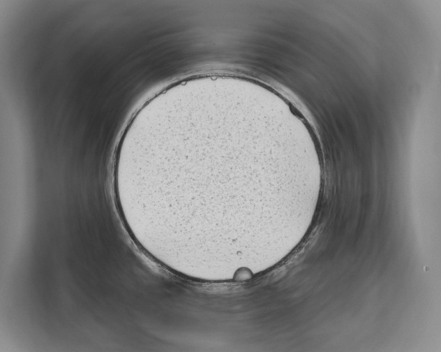 X0000112181437200909181424