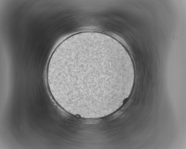 X0000112181440200909181424