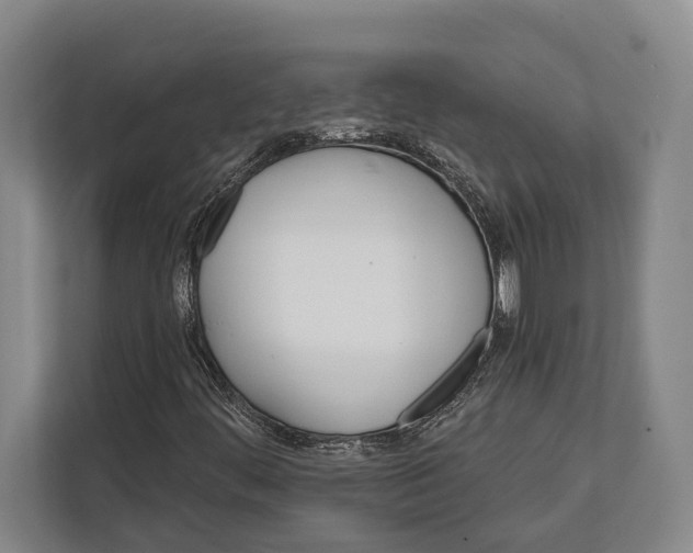 X0000112181444200909181424