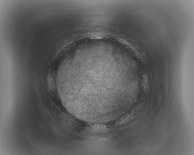 X0000112181446200909181424