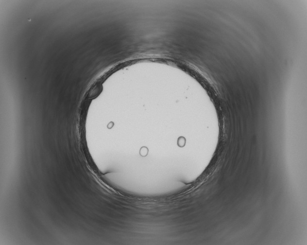 X0000112181452200909181424
