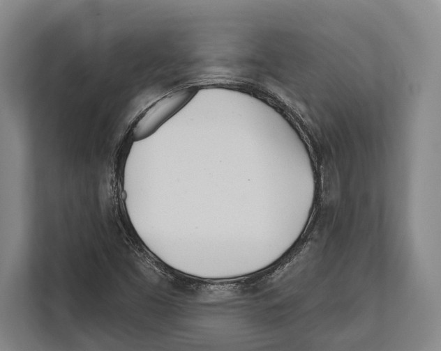 X0000112181453200909181424