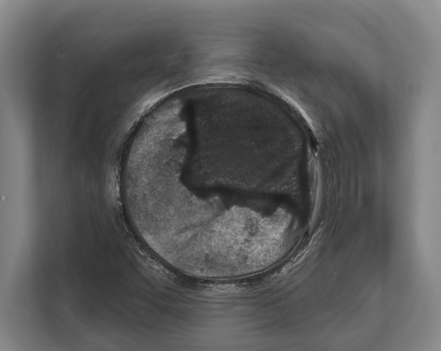 X0000112181455200909181424