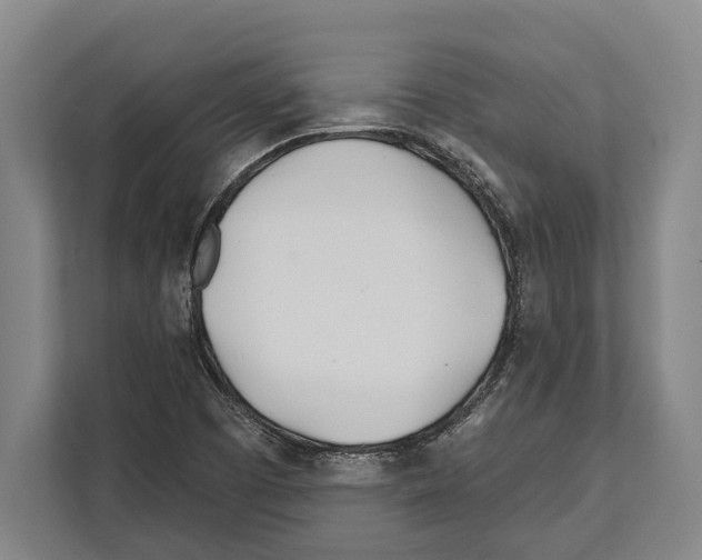 X0000112181457200909181424
