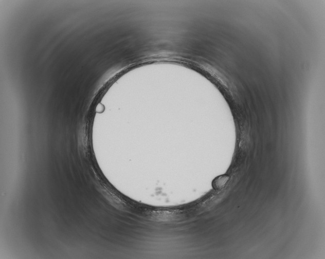 X0000112181458200909181424