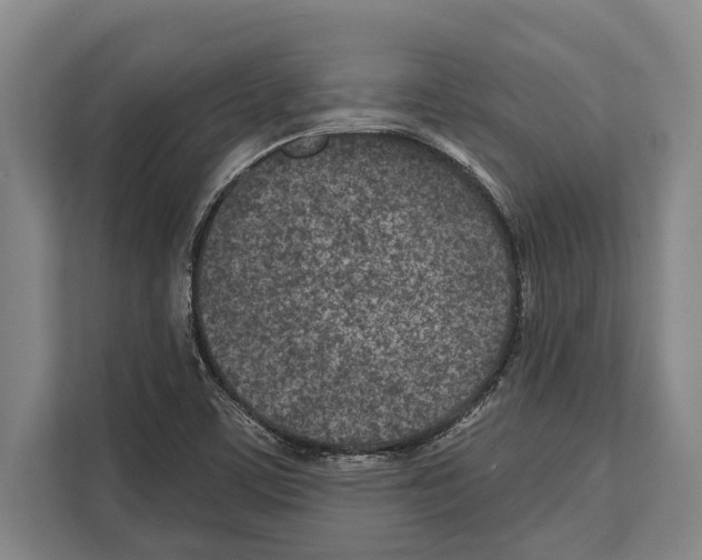 X0000112181459200909181424