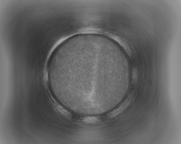 X0000112181462200909181424