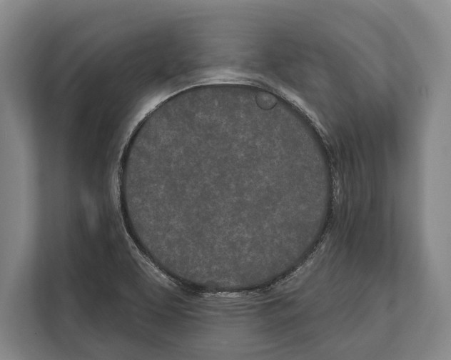 X0000112181463200909181424