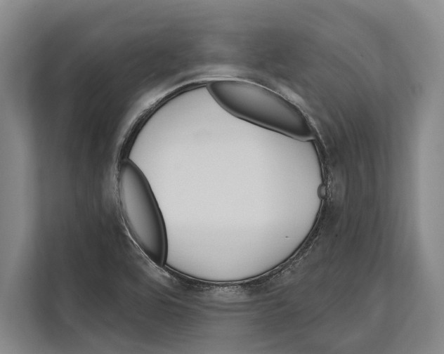 X0000112181464200909181424