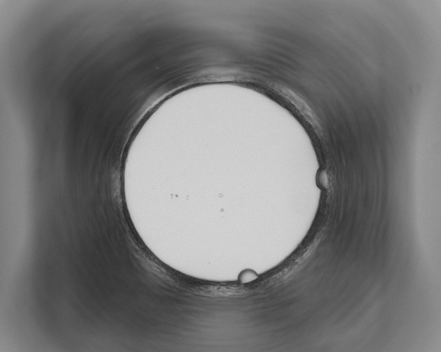 X0000112181465200909181424