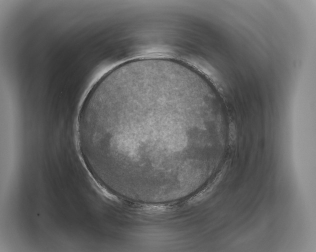 X0000112181470200909181423