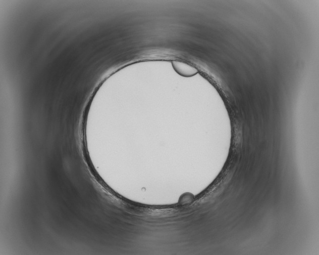 X0000112181471200909181423