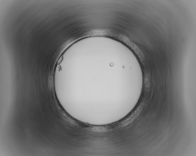 X0000112181473200909181423
