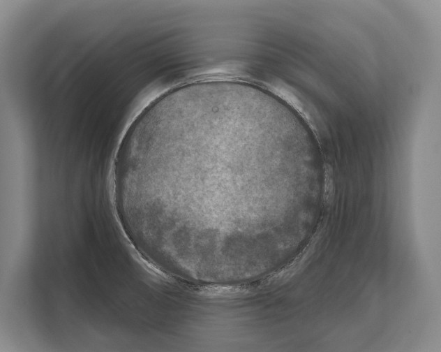 X0000112181474200909181423