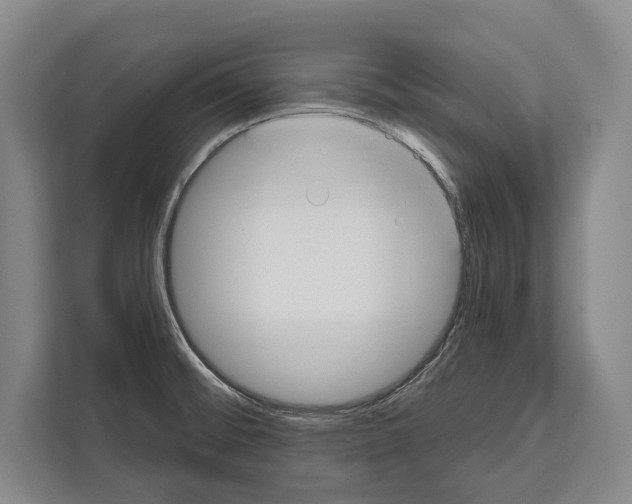 X0000112181476200909181423
