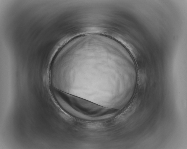 X0000112181477200909181423