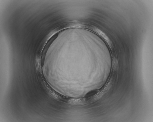 X0000112181481200909181423