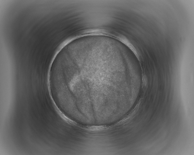 X0000112181482200909181423