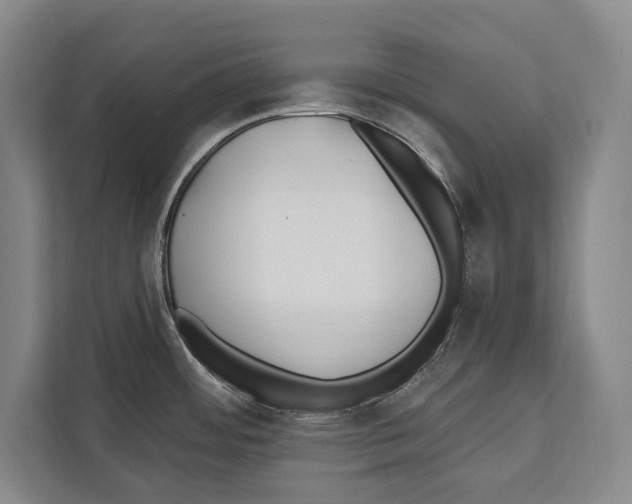 X0000112181484200909181423