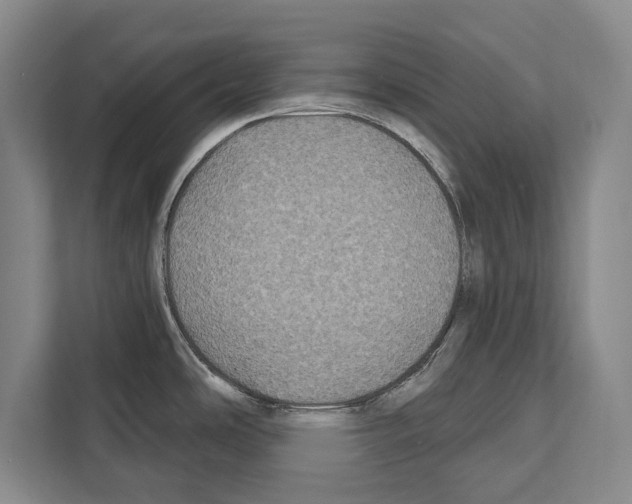 X0000112181486200909181423
