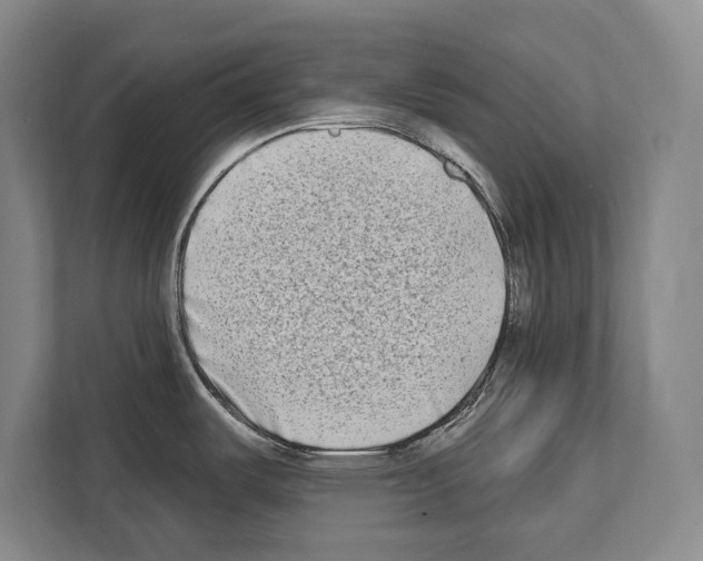 X0000112181487200909181423