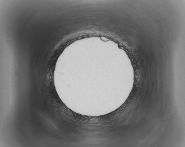 X0000112181495200909181423