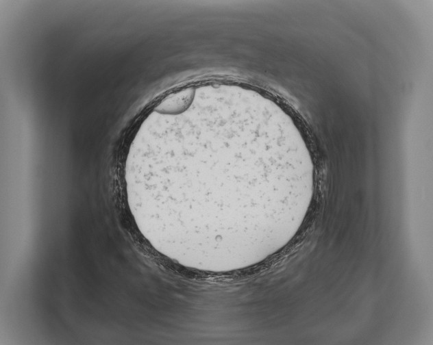 X0000112181496200909181423