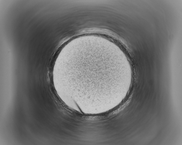 X0000112181497200909181423