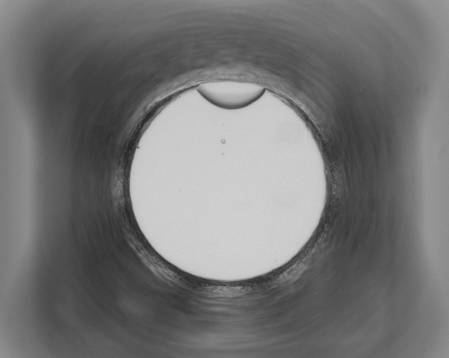 X0000112181499200909181423
