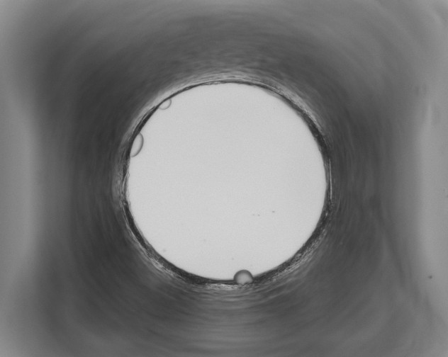 X0000112181500200909181423