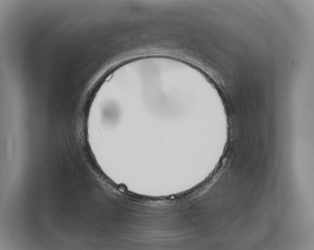 X0000112181502200909181423