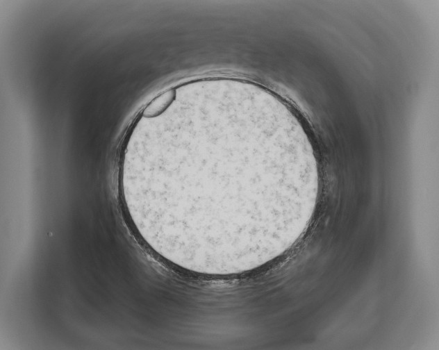 X0000112181504200909181423