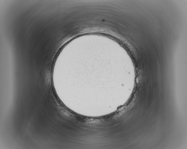 X0000112181505200909181423
