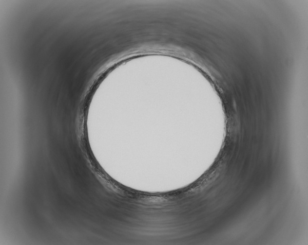 X0000112181507200909181423