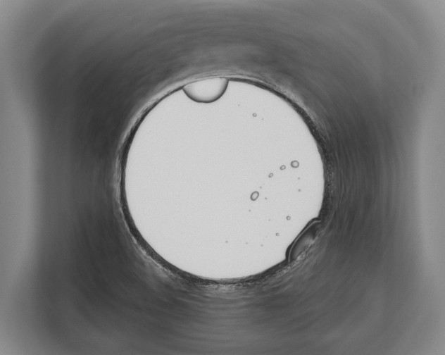 X0000112181508200909181423