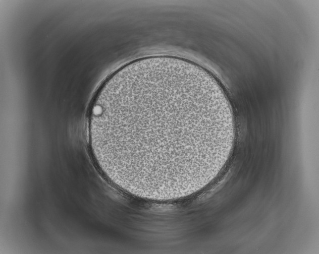X0000112181509200909181423