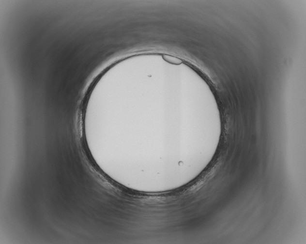 X0000112181510200909181423