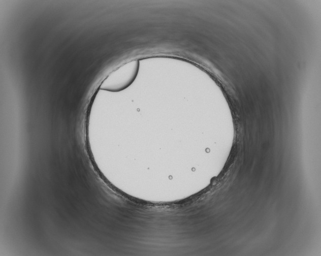 X0000112181512200909181423