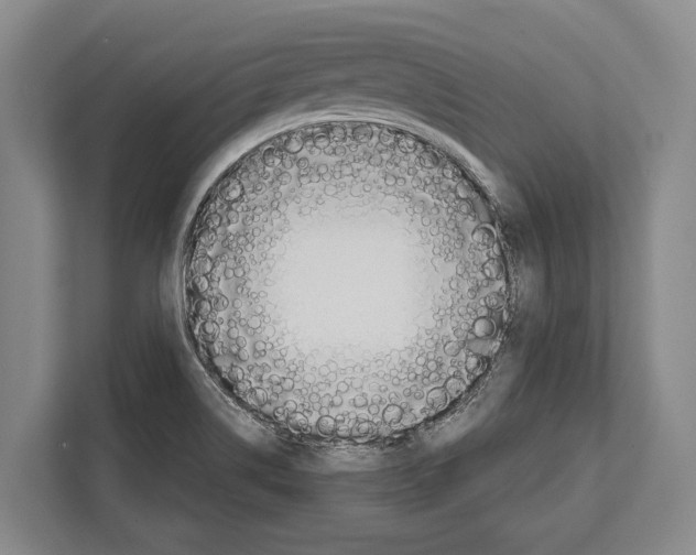 X0000112181514200909181423