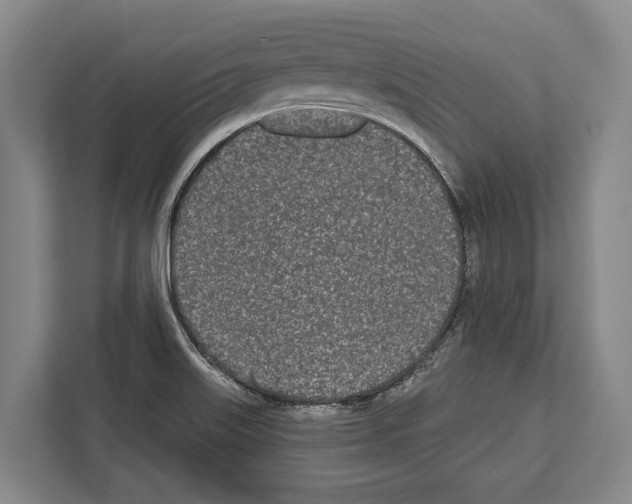 X0000112181515200909181423