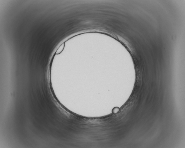 X0000112181516200909181423