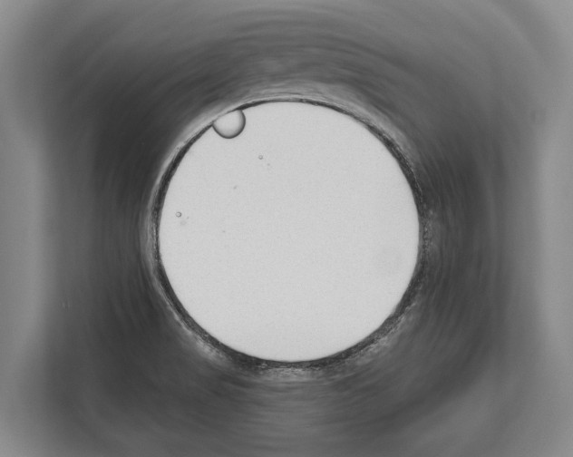 X0000112181517200909181423